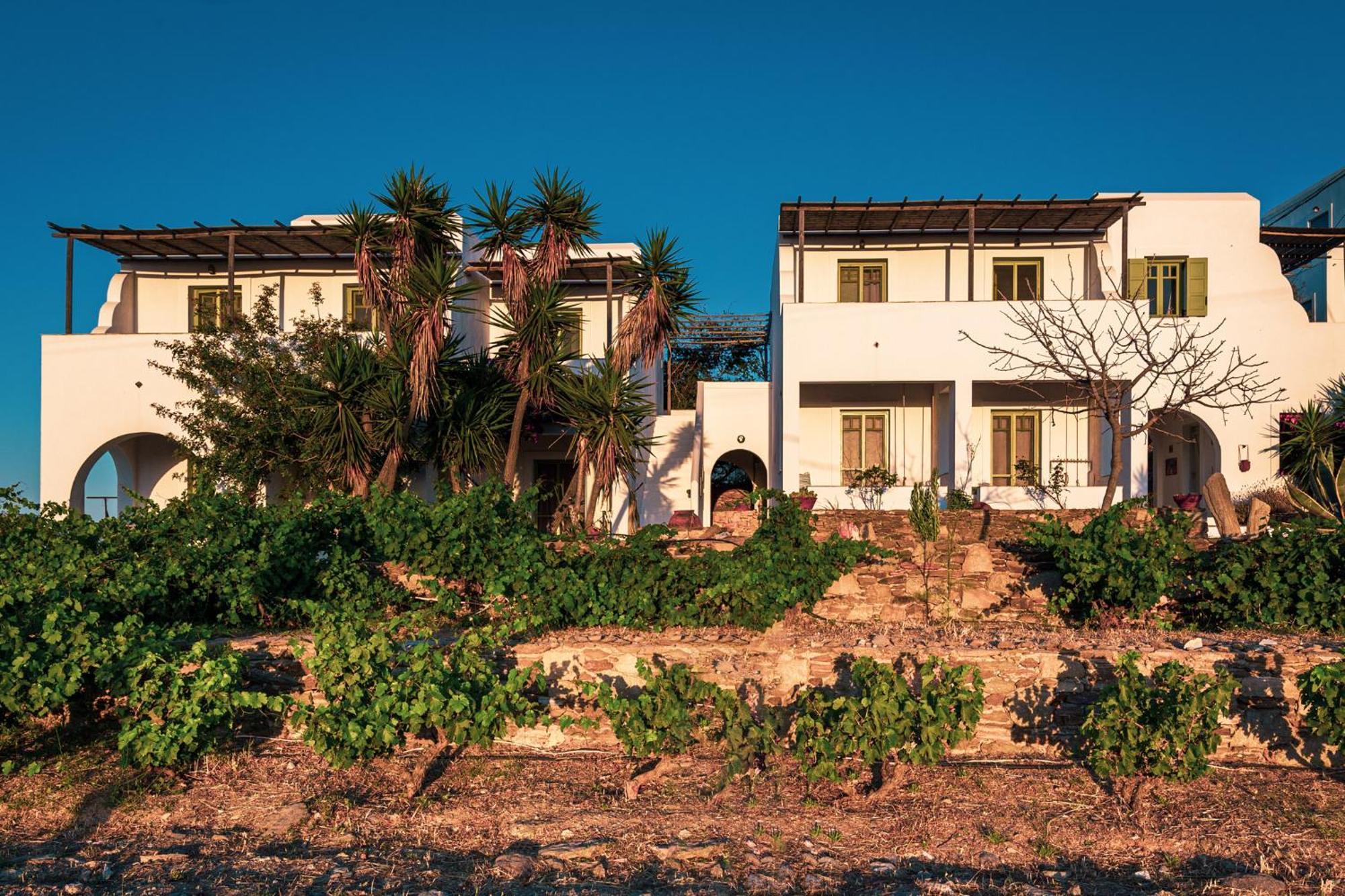 Ailouros Summer Hotel Schoinoussa Bagian luar foto