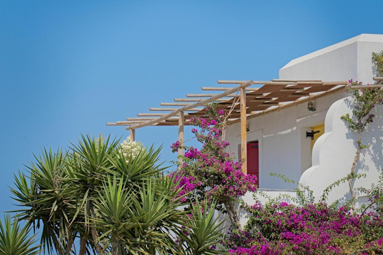 Ailouros Summer Hotel Schoinoussa Bagian luar foto